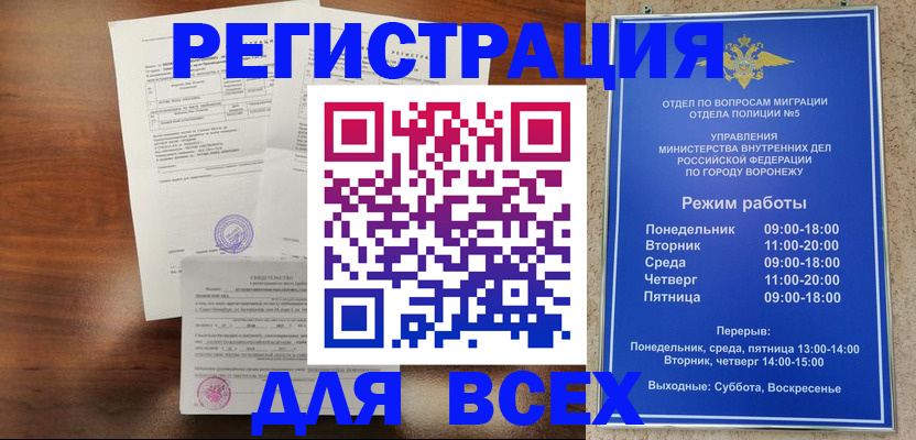 прописка поиск в Электрогорске